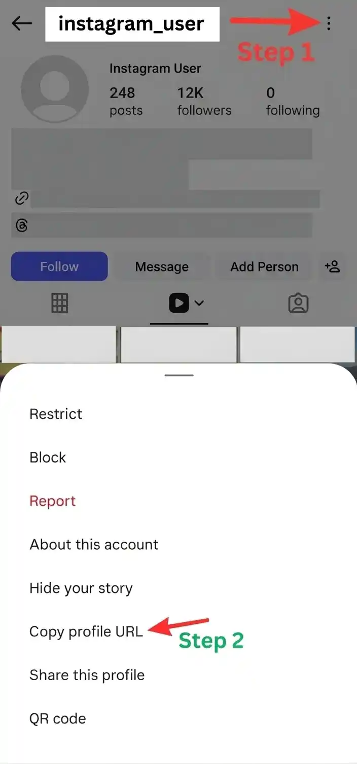 Step 1 — iPhone showing Instagram profile three-dot menu with Copy Profile URL option