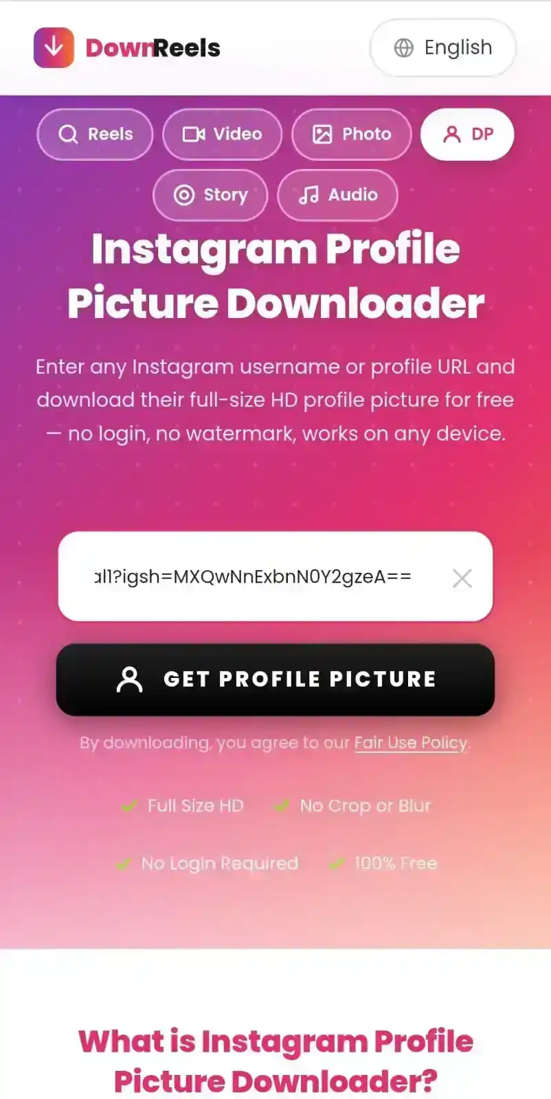 Step 2 — Phone screen showing Instagram username typed into DownReels profile picture downloader