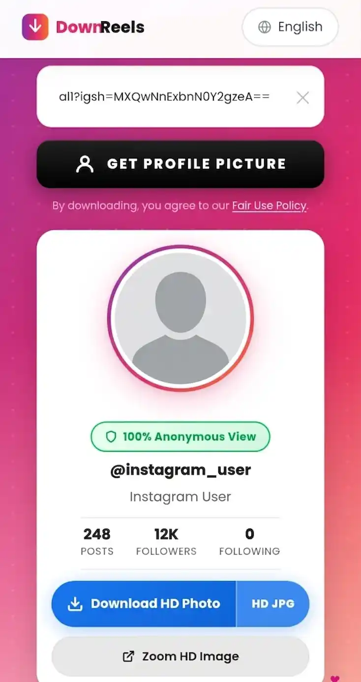 Step 3 — DownReels showing Instagram profile picture result with Download HD Photo button