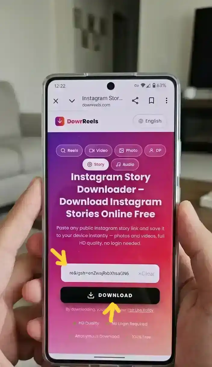 Step 2 - Paste Instagram Story link on DownReels